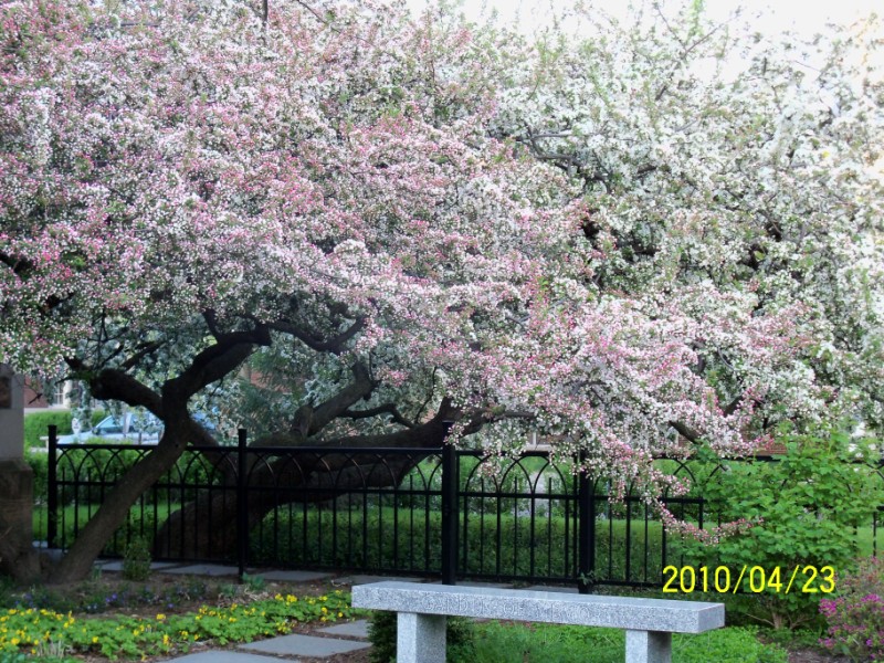 100_0392 [800x600].JPG